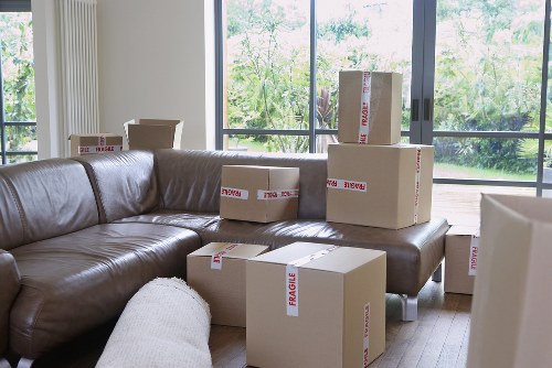 Reliable man with van team supporting a move in Deptford